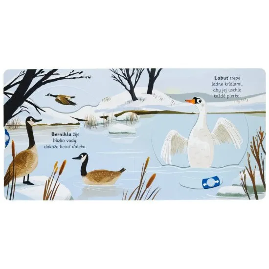 Zisti, čo sa deje v snehu.  Veršované leporelo určené všetkým malým objaviteľom.