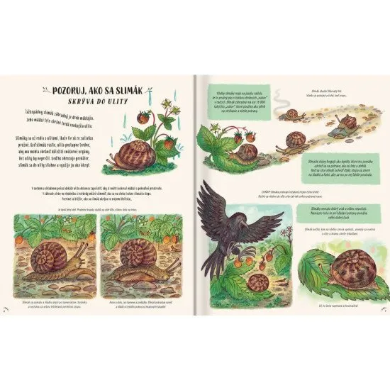 Dvadsať nových príbehov a zázrakov z prírody, s ktorými môžeš na chvíľu zastať, rozhliadnuť sa a žasnúť aj nad tými najdrobnejšími úkazmi.