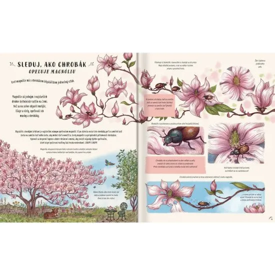 Dvadsať nových príbehov a zázrakov z prírody, s ktorými môžeš na chvíľu zastať, rozhliadnuť sa a žasnúť aj nad tými najdrobnejšími úkazmi.