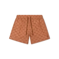 Pánske plavecké šortky s UPF 50+ Palm Stripe