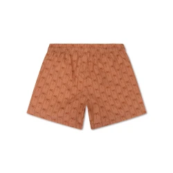 Pánske plavecké šortky s UPF 50+ Palm Stripe