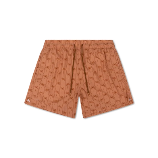 Pánske plavecké šortky s UPF 50+ Palm Stripe