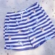 Detské chlapčenské plavecké šortky s UPF 50+ Bluey Swim Essentials