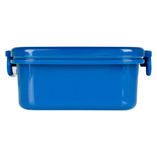 Desiatový box s priehradkami Dino