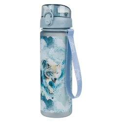 Tritanová fľaša na nápoje Polar 500 ml