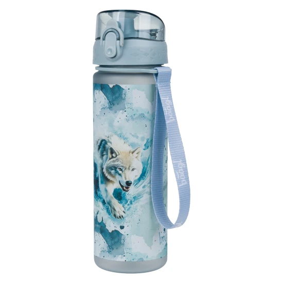 Tritanová fľaša na nápoje Polar 500 ml