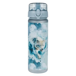 Tritanová fľaša na nápoje Polar 500 ml