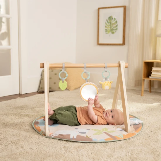 Deka na hranie Wonder & Wood™ 0m+ Ingenuity 17448-3