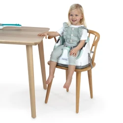 Jedálenská stolička na stoličku 2v1 Baby Base™ Mist 6m+ do 15 kg