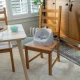Jedálenská stolička na stoličku My Spot™ Grey 6m+, do 15kg Ingenuity 17481-3