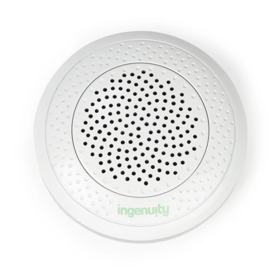 Uspávačik plyšový hudobný sova Nally™ s bluetooth 0m+ Ingenuity 12477-4