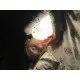 Detská dotyková lampa s diaľkovým ovládaním Tuleň