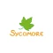 Sycomore