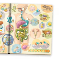 Ľudské telo Kúzelné čítanie