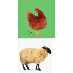 Moja prvá knižnica: Zvieratá