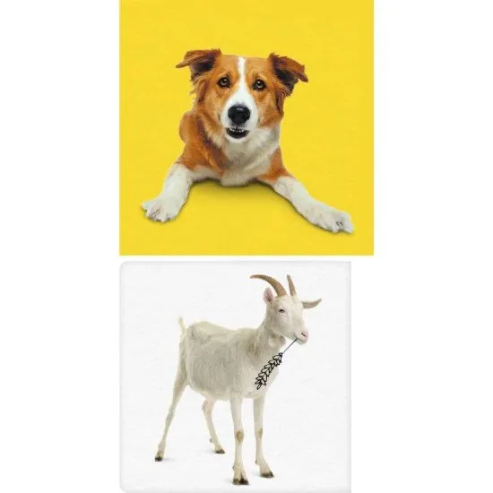 Moja prvá knižnica: Zvieratá