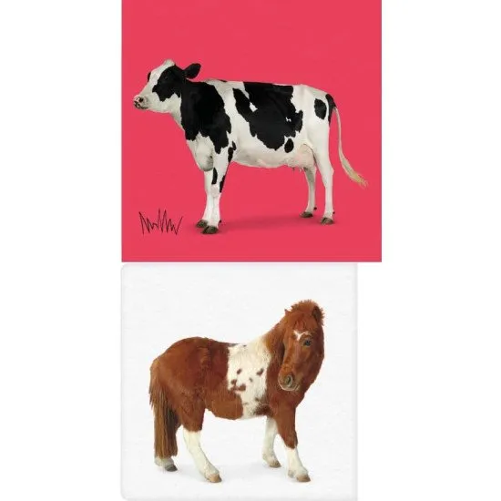 Moja prvá knižnica: Zvieratá