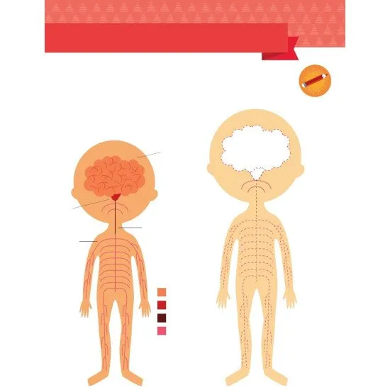 Moja prvá kniha o ľudskom tele