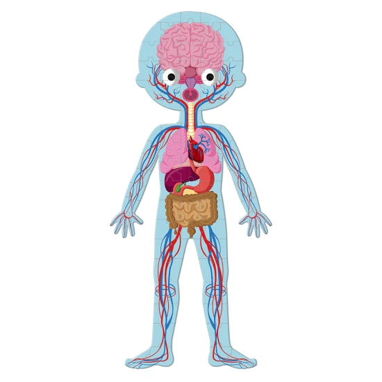 Vzdelávacie puzzle Ľudské telo 50 ks