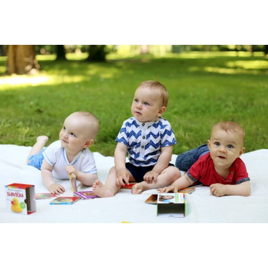 Leporelo plné zvieratiek.