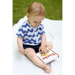 Baby Touch and Feel - Trucks