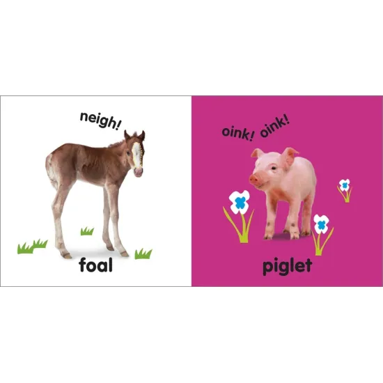 Leporelo Baby Animals rozšíri vašemu bábätku slovnú zásobu o to, ako sa volajú mláďatká známych zvieratiek. 