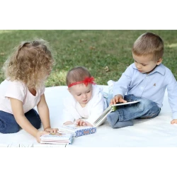 Baby Touch and Feel - Wild Animals