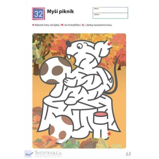 Bludiská - môj prvý pracovný zošit