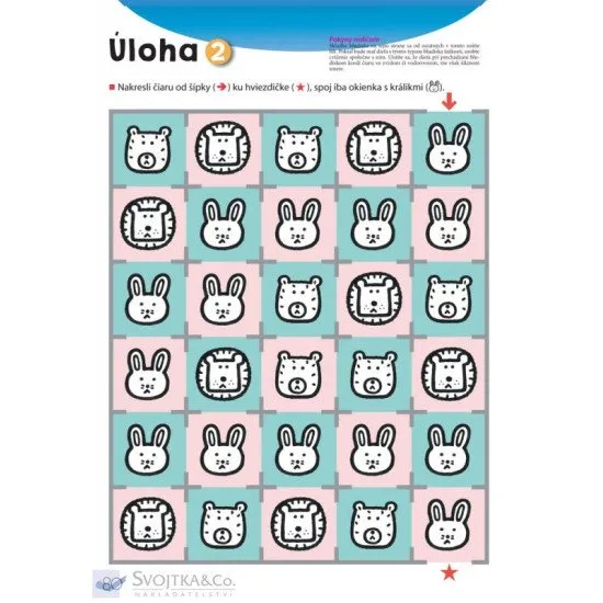 Bludiská - môj prvý pracovný zošit