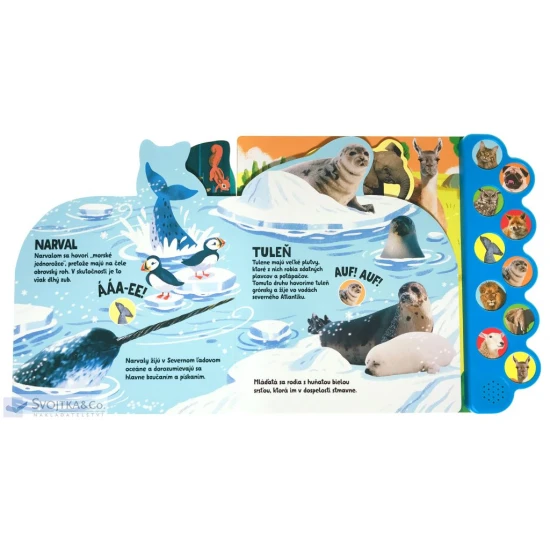 Spoznaj zvieratá z celého sveta a po stlačení tlačidla si vypočuj, aké rôzne zvuky vydávajú! Kniha obsahuje tri výmenné batérie.