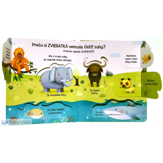 Prečo si musím čistiť zuby? - Kuk pod okienko