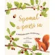 Spomaľ a pozri sa