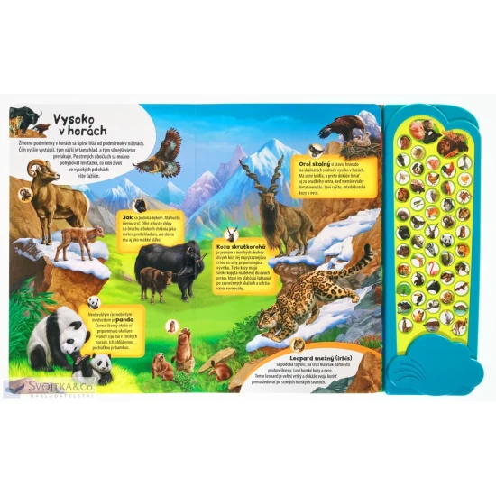 Veľká kniha zvukov ZVIERATÁ