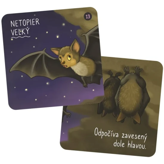 Vedomostné pexeso pre deti s motívom zvierat trénuje detskú pamäť.