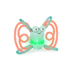 Svietiace hryzátko Svetluška