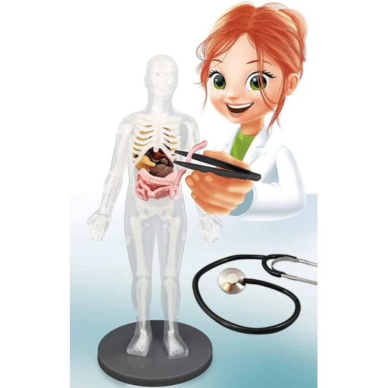 Detská experimentálna súprava s cca 30cm vysokým modelom ľudského tela a príslušenstvom k realizácii 12tich pokusov.