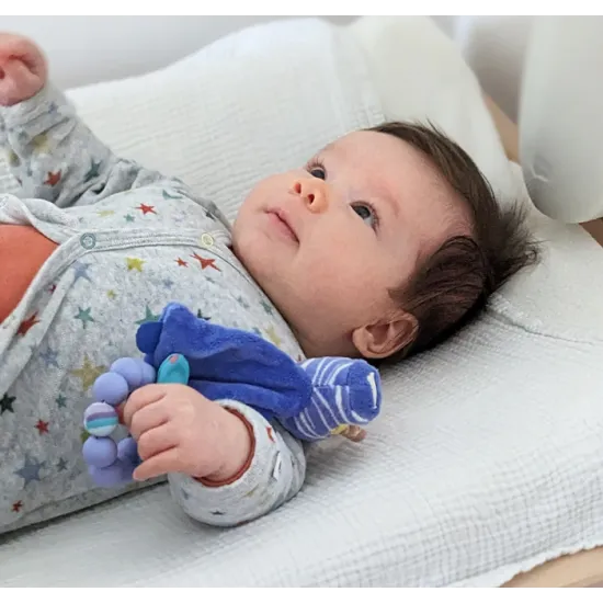 Maznáčik Zebra a hryzátko v darčekovej krabičke