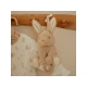 Hudobný králiček Baby Bunny