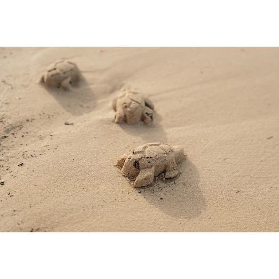 Súprava na piesok s motívmi života na mori sa bude deťom hodiť doma na záhrade aj pri mori na pláži.