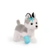 Roztomilý Husky v kabelke s veterinárskou sadou