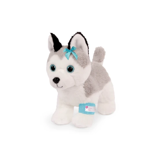 Roztomilý Husky v kabelke s veterinárskou sadou