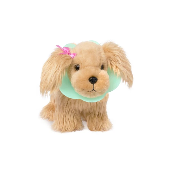 Roztomilý kokeršpaniel v kabelke s veterinárskou sadou