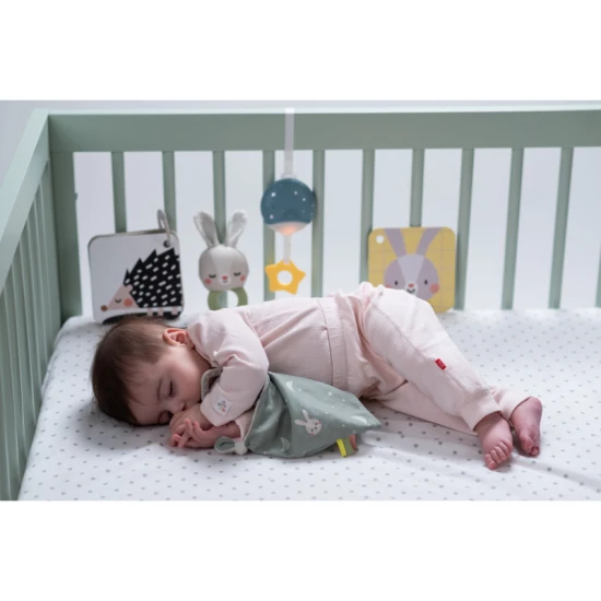 Sada hračiek Bedtime Kit – Taf Toys 13265TAF