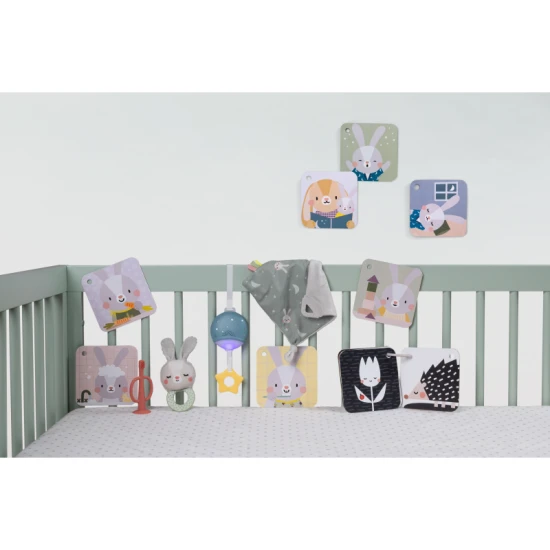 Sada hračiek Bedtime Kit – Taf Toys 13265TAF