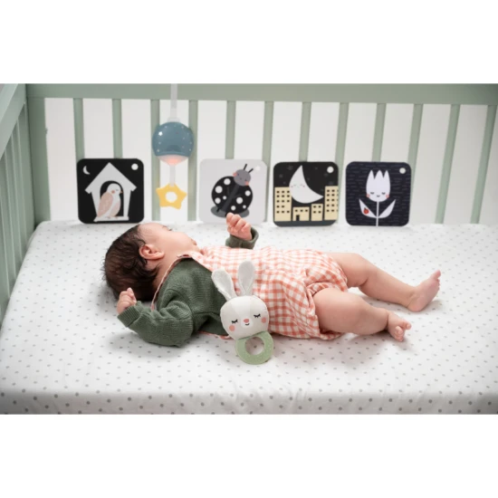 Sada hračiek Bedtime Kit – Taf Toys 13265TAF