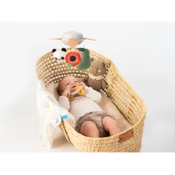 Sada hračiek Newborn Luxe