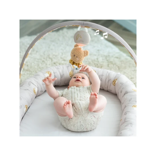 Hniezdo pre bábätko s hrazdou Little Explorer