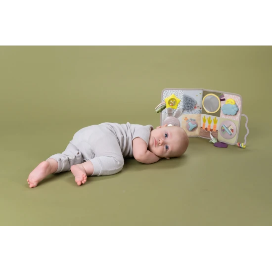 Interaktívny hrací pult s hudbou, svetielkami a krásnymi motívmi zo života na záhrade.