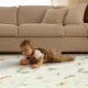 Tiny Love Hracia podložka penová skladacia Boho Chic