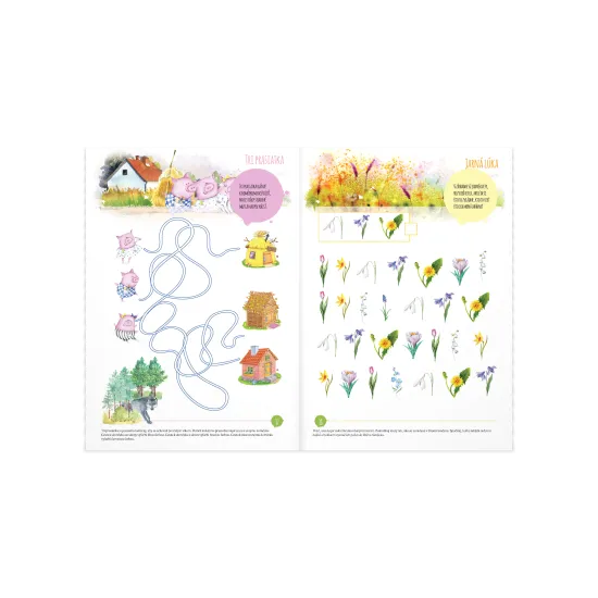 Pracovný zošit Hravé počítanie 5-6 rokov zahŕňa úlohy, ktoré vedú k osvojovaniu si základov matematických poznatkov a zručností.